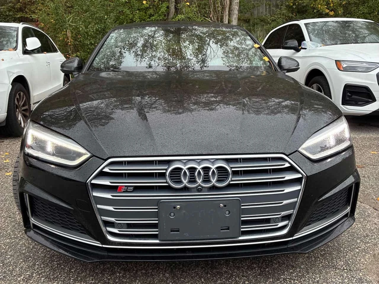 Audi S5 * Technik * CARFAX * ����� �� ����������� | Mobile.bg � ����������� 6