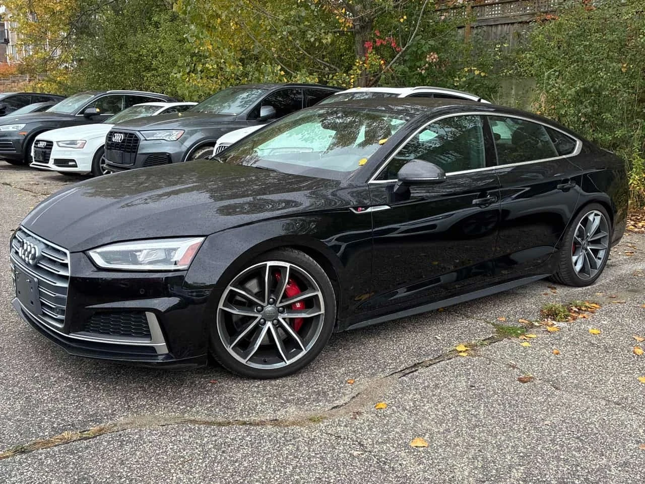 Audi S5 * Technik * CARFAX * ����� �� ����������� | Mobile.bg � ����������� 2
