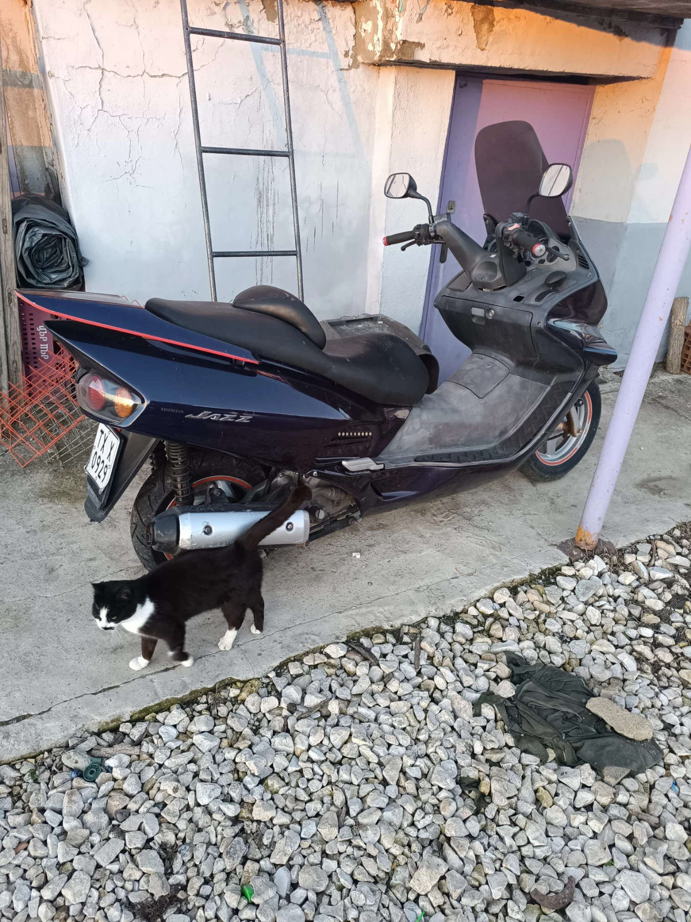 Honda Jazz 250 | Mobile.bg � ����������� 1