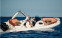 Обява за продажба на Надуваема лодка Zodiac Medline 9 ~ 163 200 EUR - изображение 9