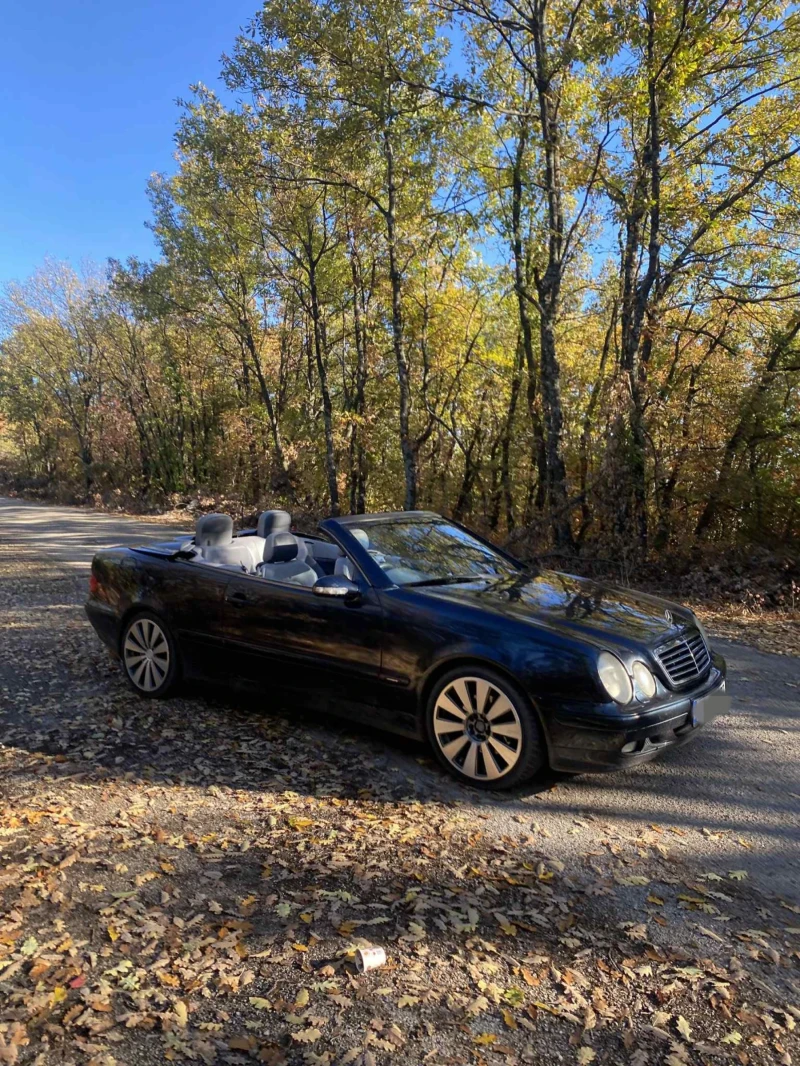 Mercedes-Benz CLK 230, снимка 5 - Автомобили и джипове - 52267716