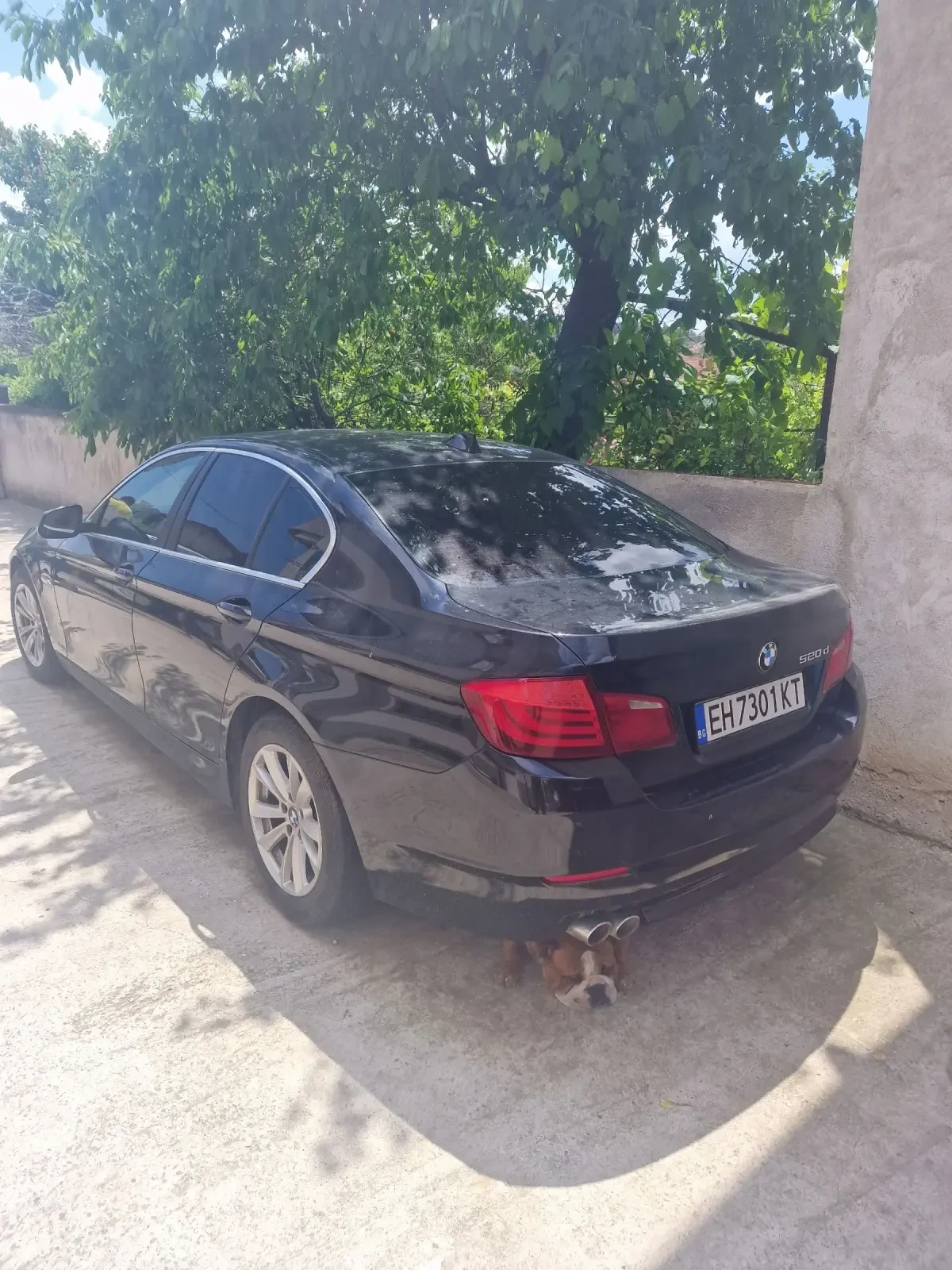 BMW 520 Дизел 184 к.с - изображение 2