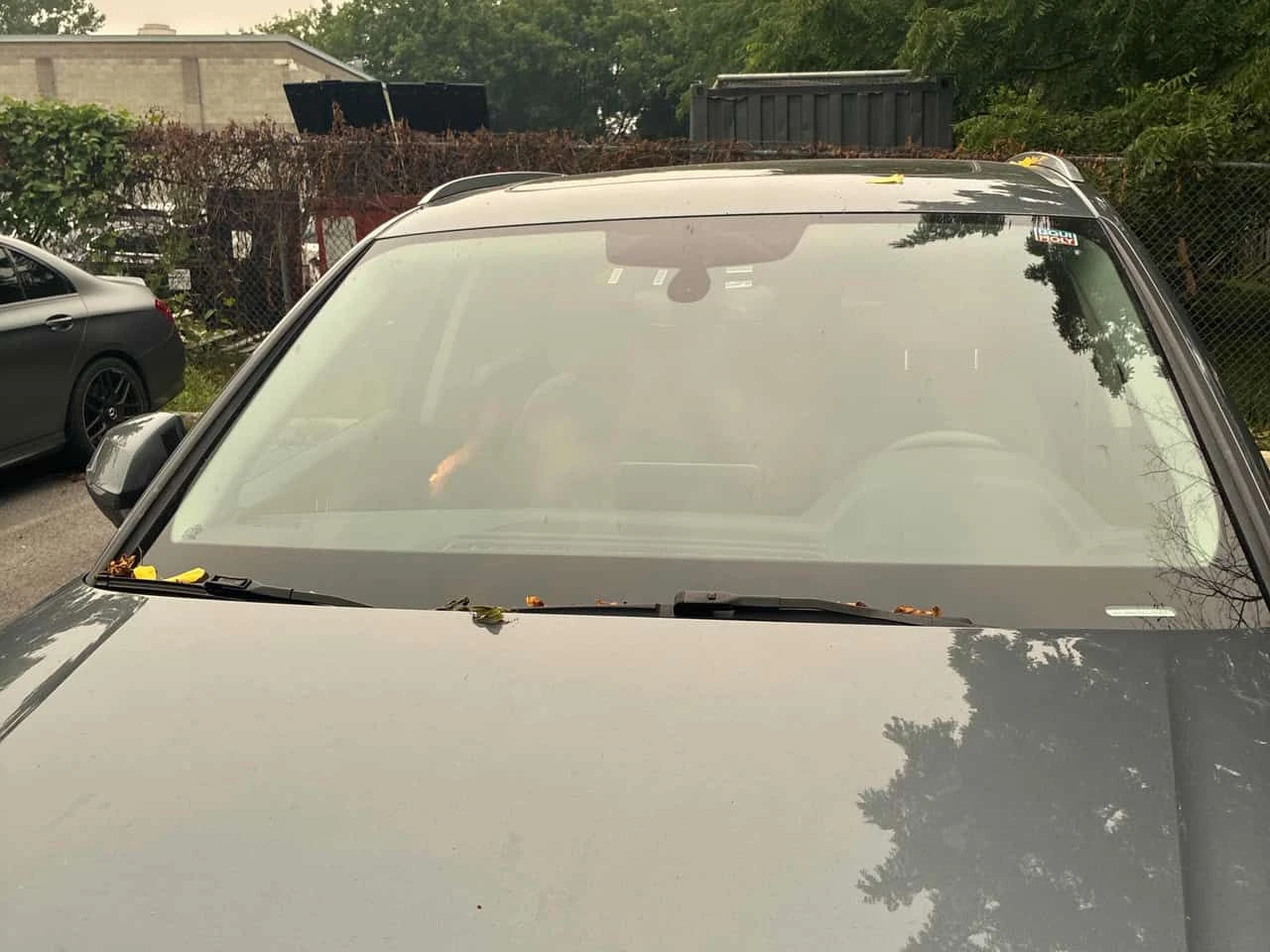Audi Q5 * Progressiv * CARFAX * ���� �� �� | Mobile.bg � ����������� 6