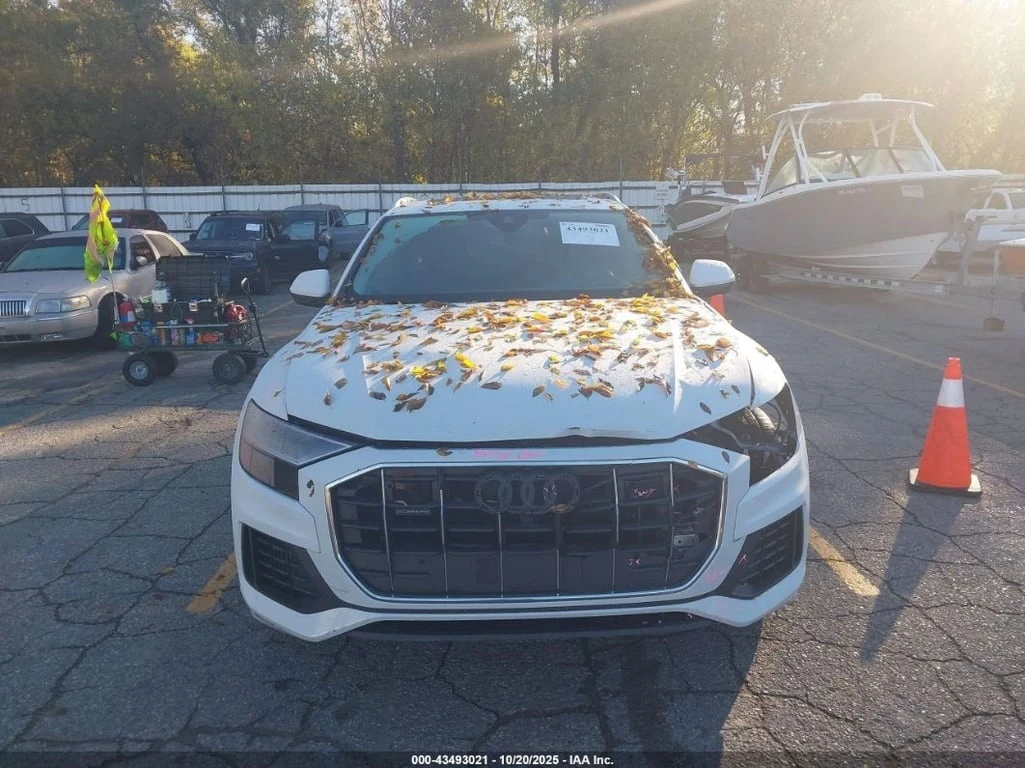 Audi Q8 * 55 PREMIUM * CARFAX *    | Mobile.bg   12