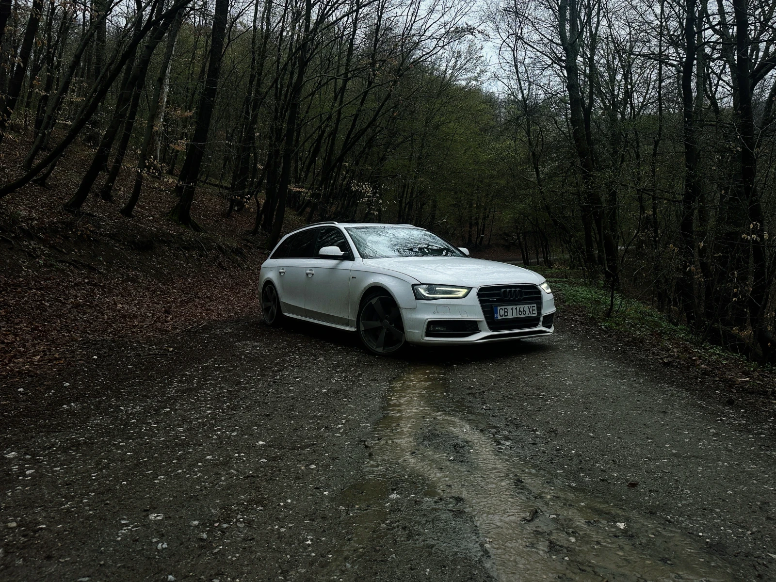 Audi A4 3.0TDI Keyless Panorama, снимка 1