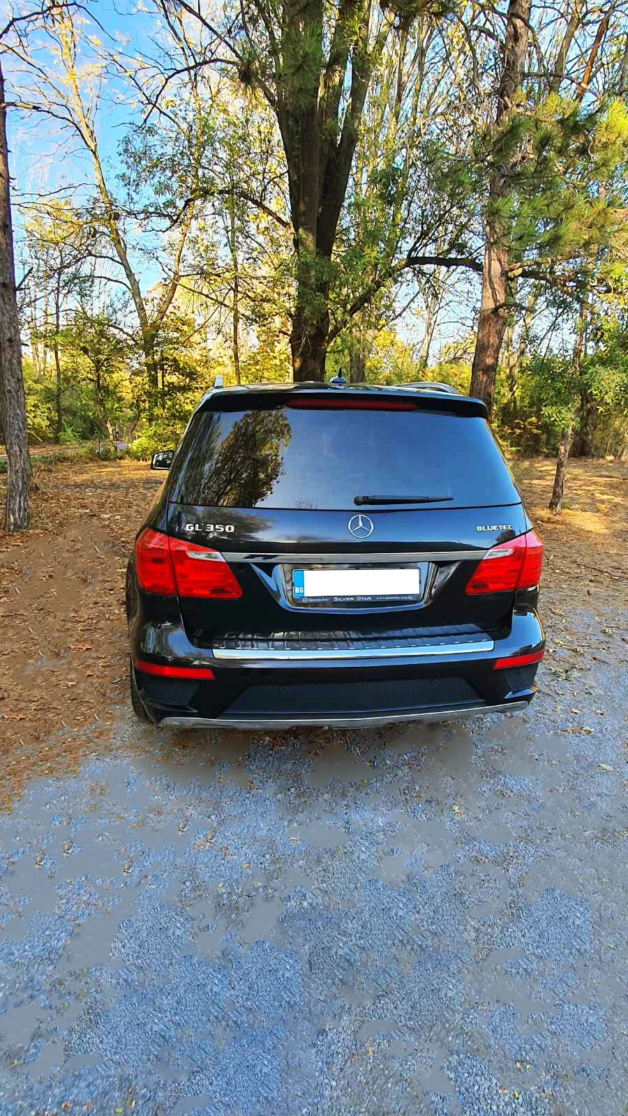 Mercedes-Benz GL 350 | Mobile.bg   17