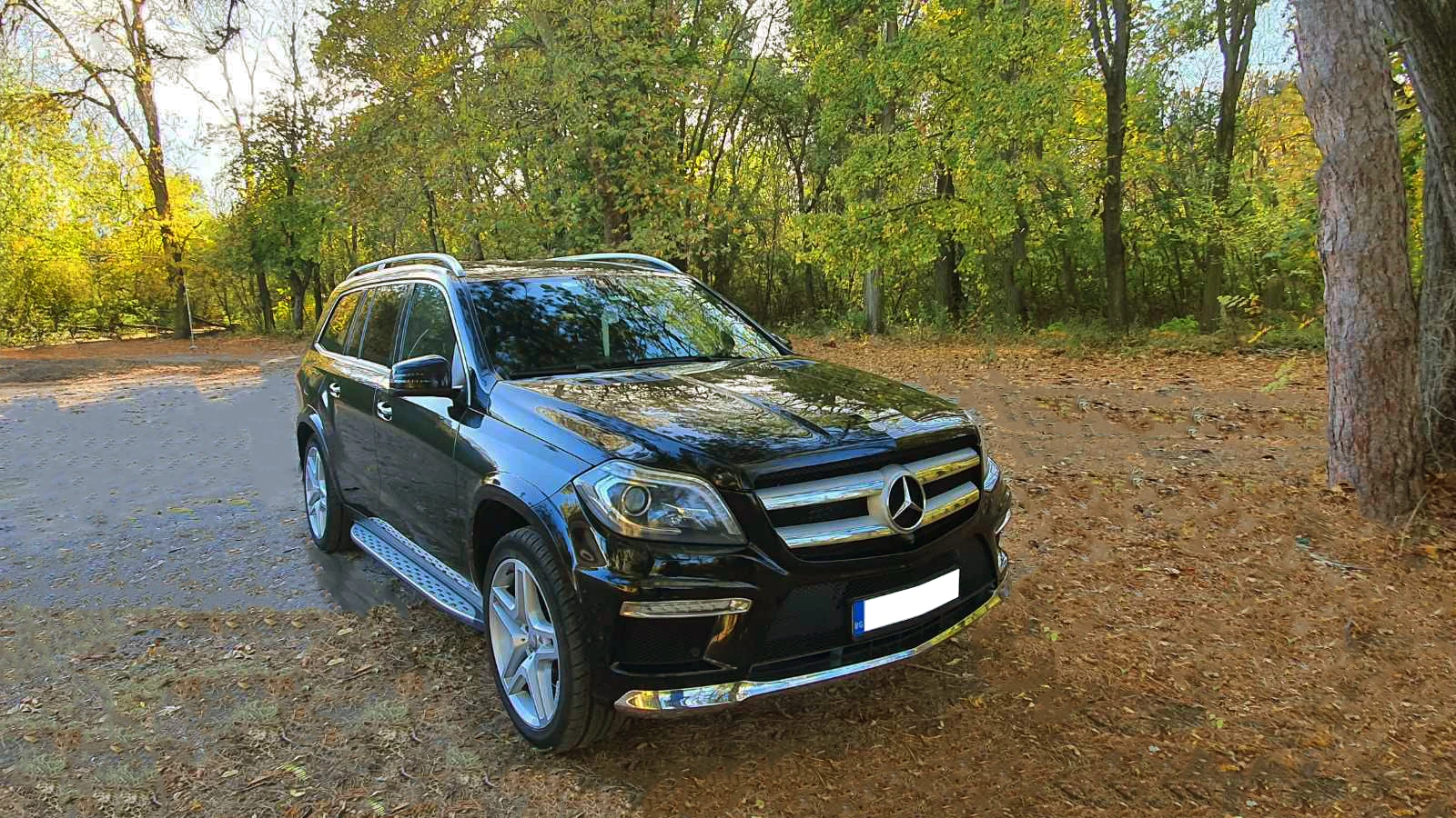 Mercedes-Benz GL 350 | Mobile.bg   15