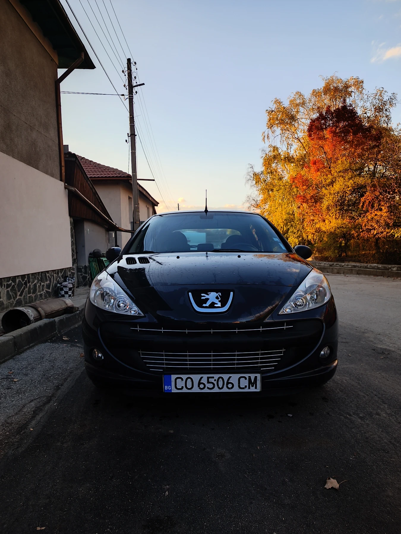 Peugeot 206 ? | Mobile.bg — изображение 16