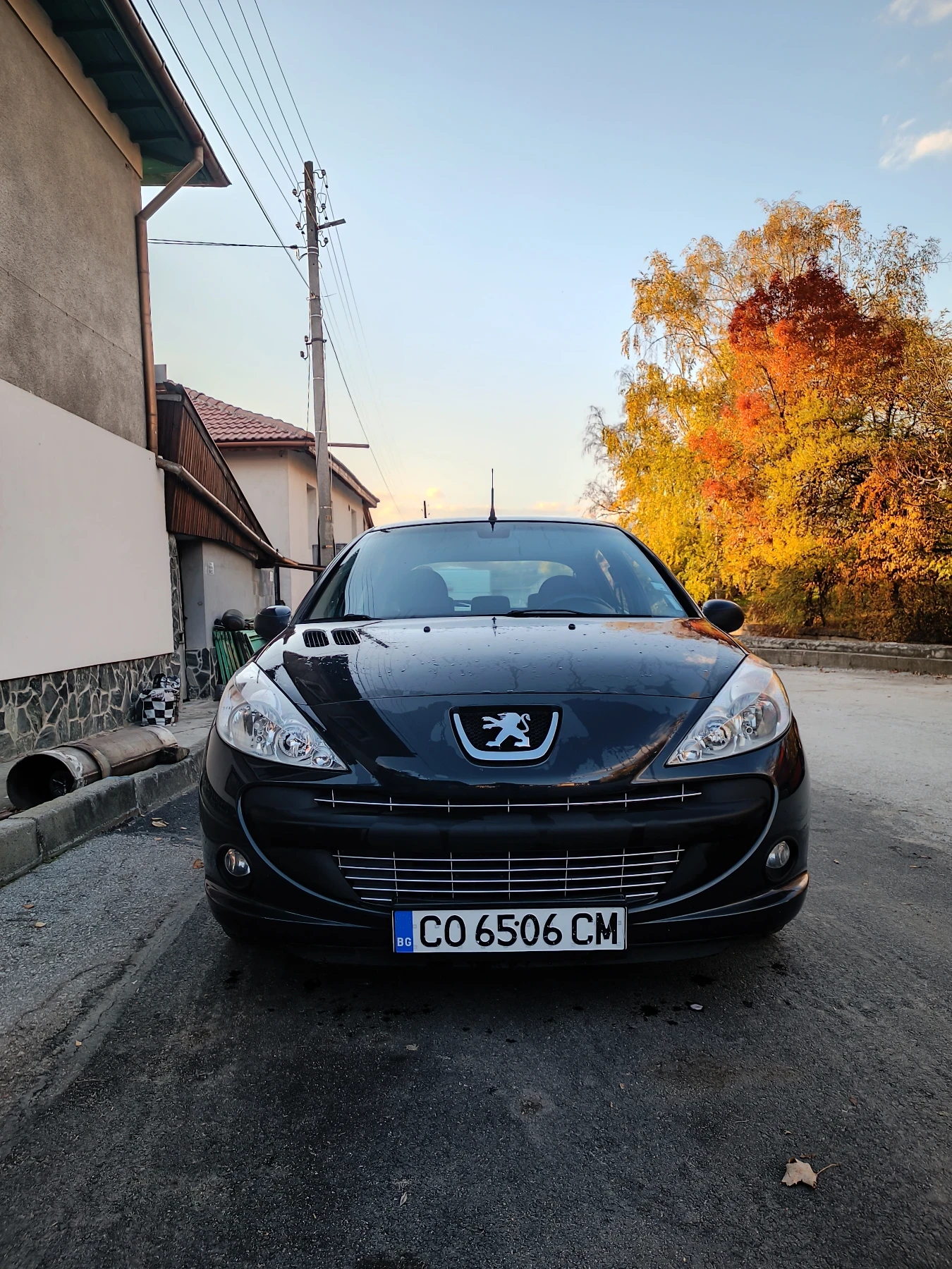 Peugeot 206 ? | Mobile.bg — изображение 2