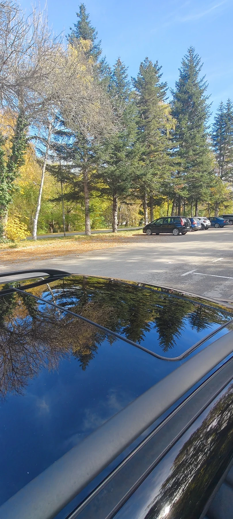 Mercedes-Benz C 230 Avantgarde+ Sport edition | Mobile.bg — изображение 12