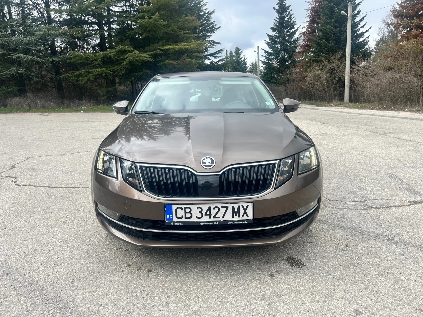 Skoda Octavia, снимка 2 - Автомобили и джипове - 55878822