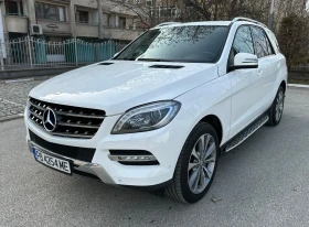 Mercedes-Benz ML 250 250 BLUETEC, снимка 1