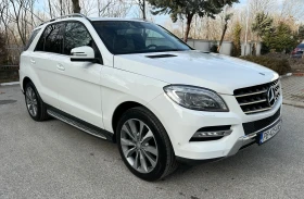 Mercedes-Benz ML 250 250 BLUETEC, снимка 3