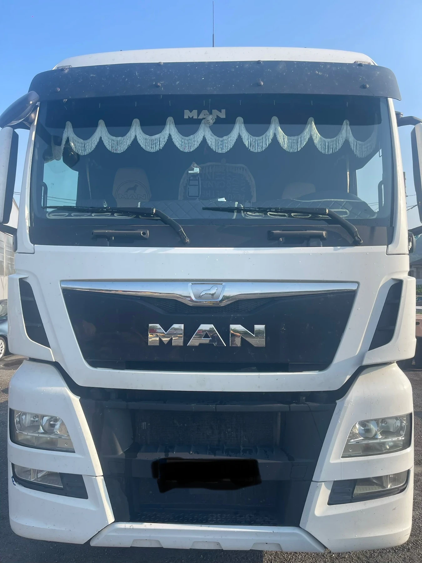Man Tgx