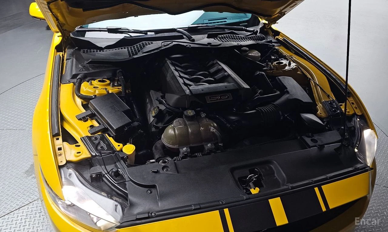 Ford Mustang GT* 5.0* V8* ПОДГРЕВ* ОБДУХВАНЕ* КАМЕРА* КЕЙЛЕС* , снимка 17 - Автомобили и джипове - 55308744