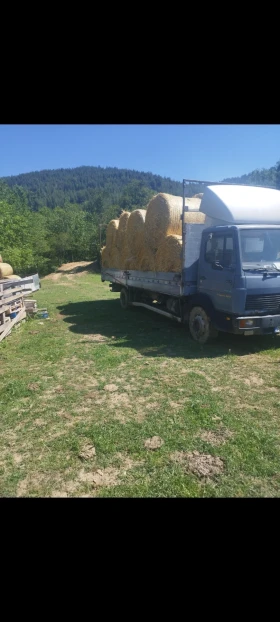 Mercedes-Benz 1117 Дизел на гас | Auto.bg — изображение 3