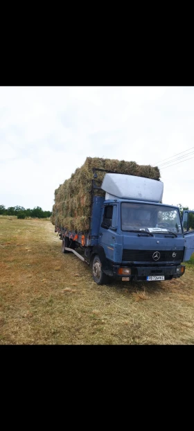 Mercedes-Benz 1117 Дизел на гас