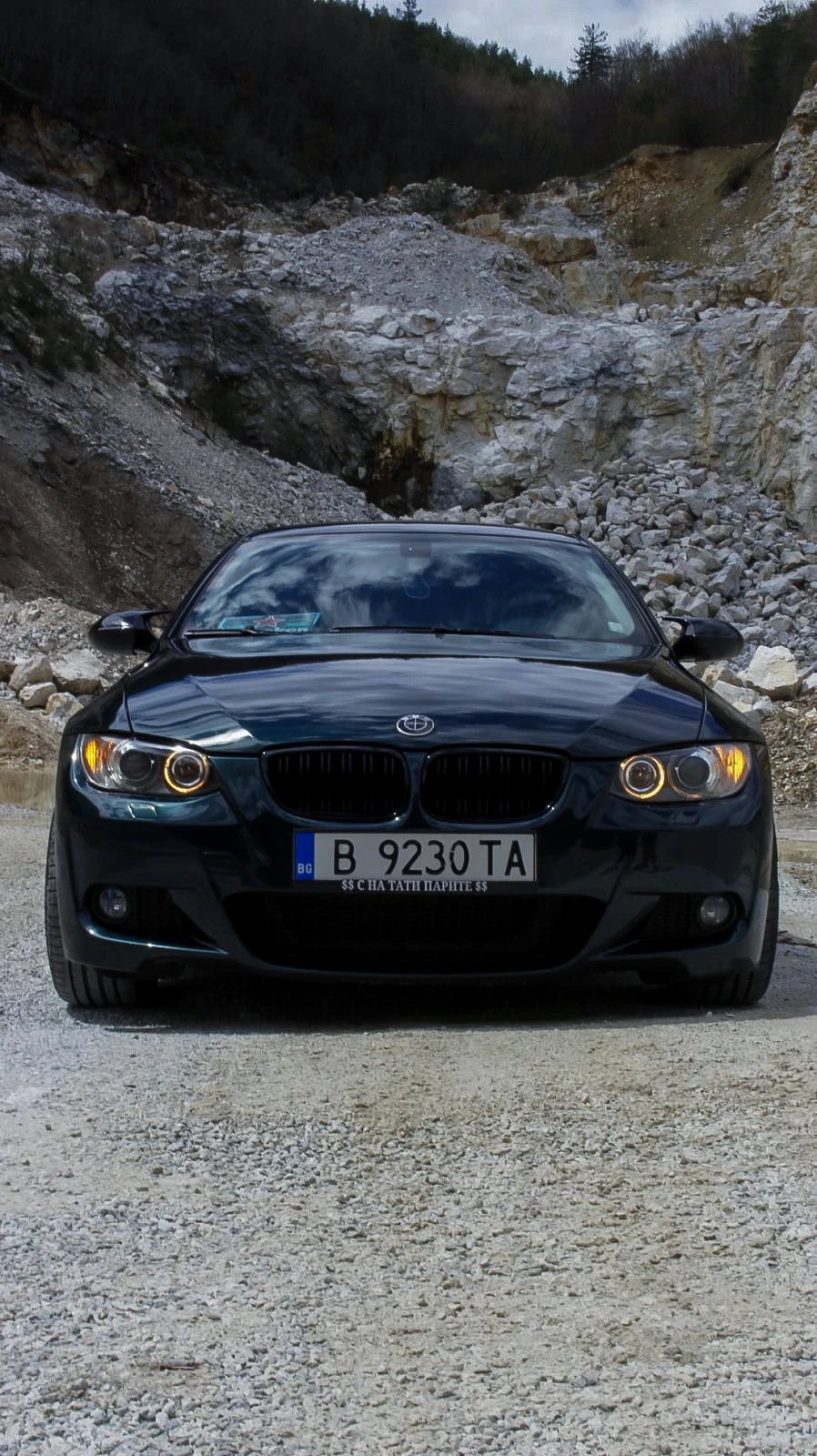 BMW 330 Xdelete, снимка 2 - Автомобили и джипове - 54526543