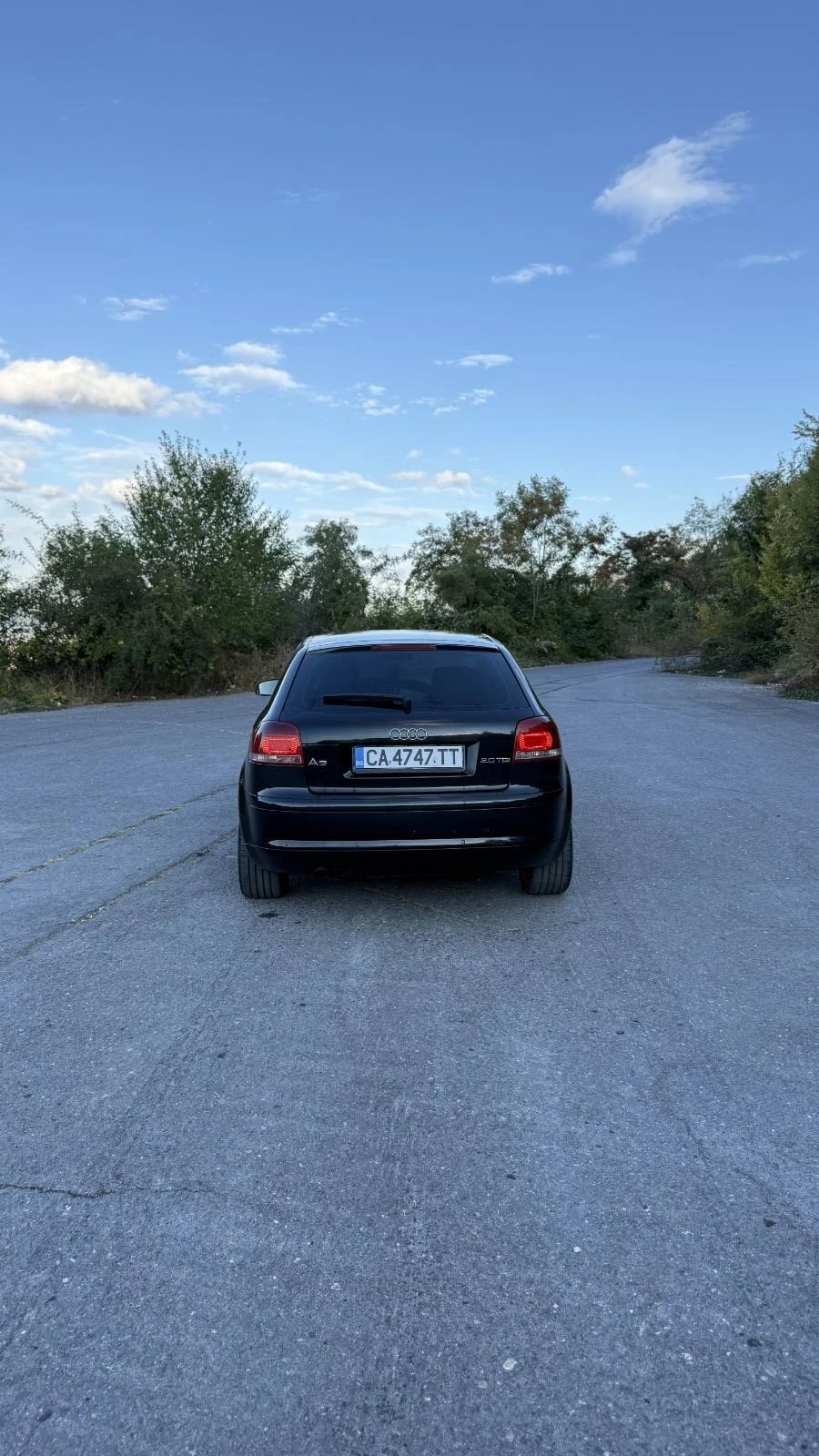 Audi A3, снимка 4 - Автомобили и джипове - 56261020