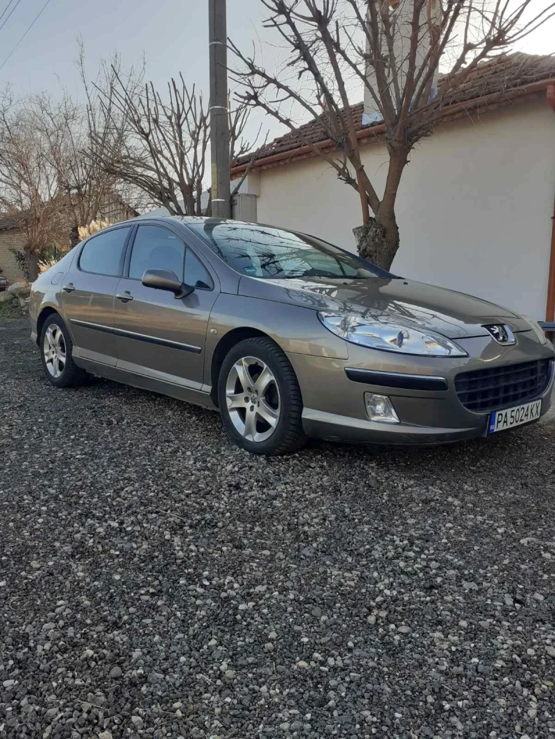 Peugeot 407 2.0 HDI, снимка 2 - Автомобили и джипове - 48132132