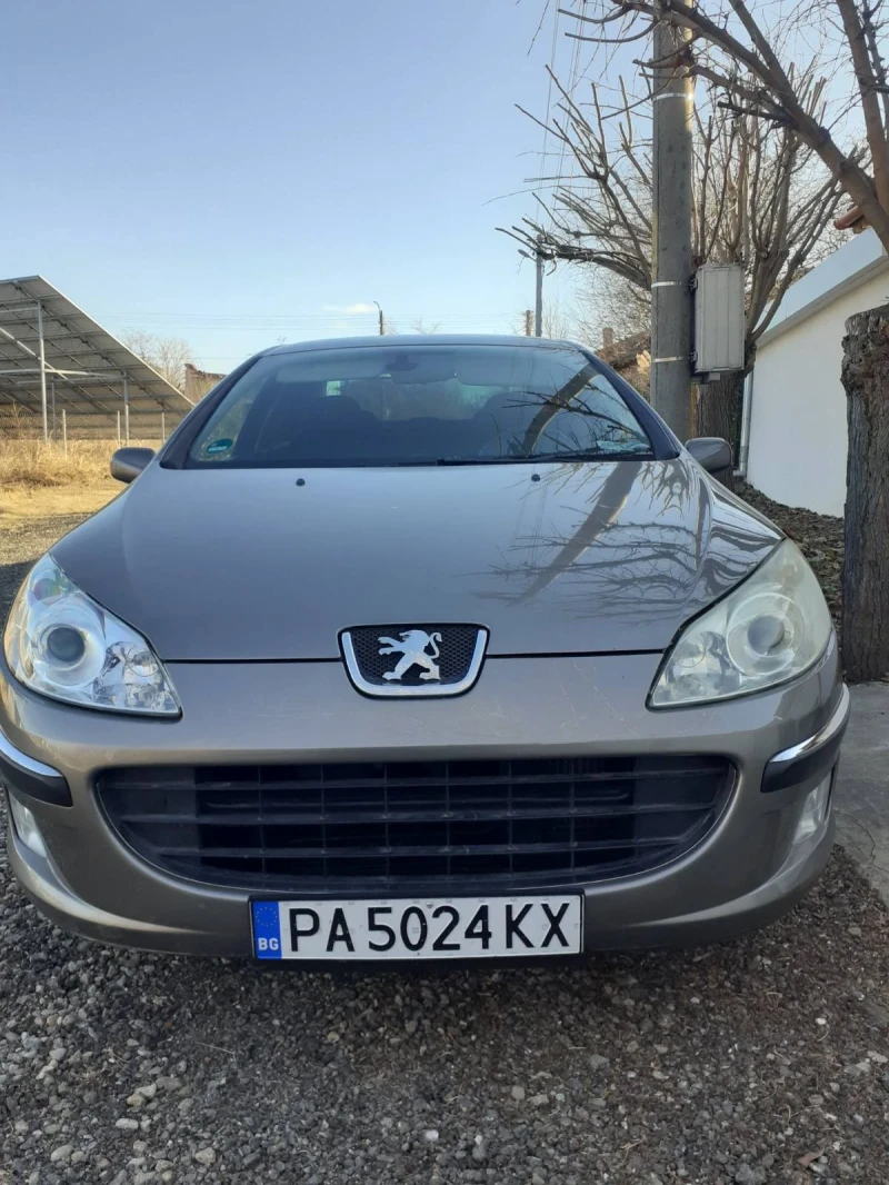 Peugeot 407 2.0 HDI, снимка 6 - Автомобили и джипове - 48132132