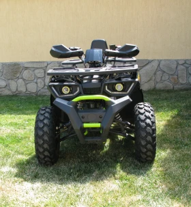 Bashan CK RUGBBY Platinum 180 cc | Mobile.bg    2