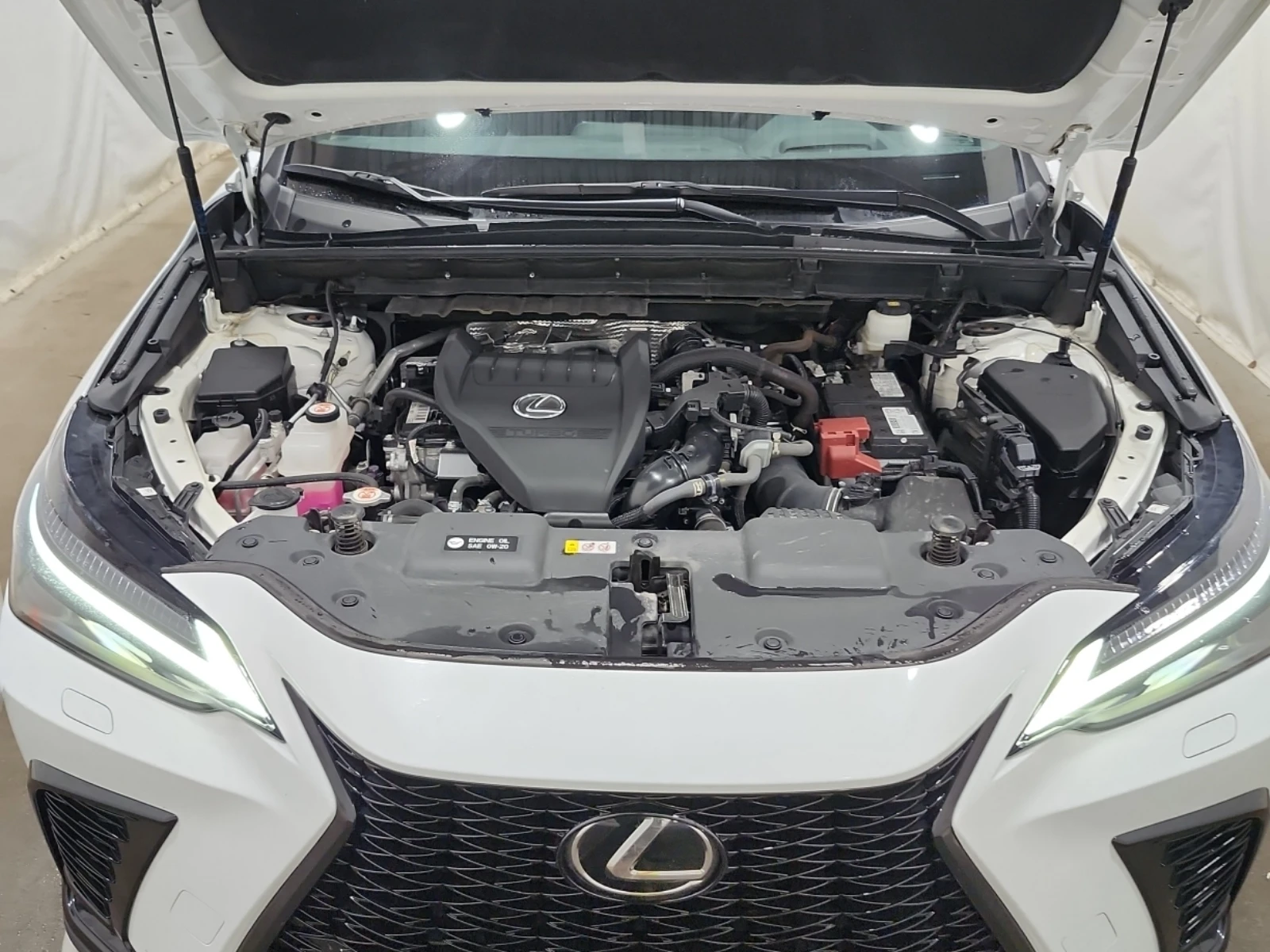 Lexus NX 350, снимка 9 - Автомобили и джипове - 54757028