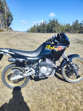 Honda Nx | Mobile.bg � ����� ������ 3