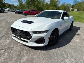 ������ Ford Mustang