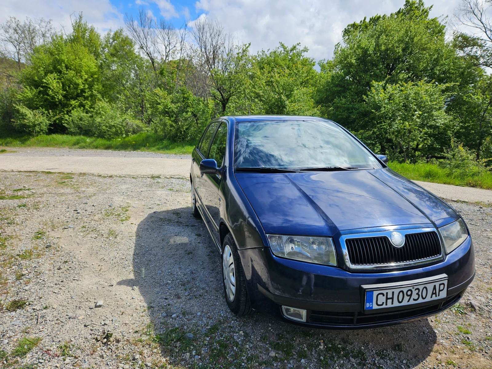 Skoda Fabia 1.9 SDI, снимка 7 - Автомобили и джипове - 54449120