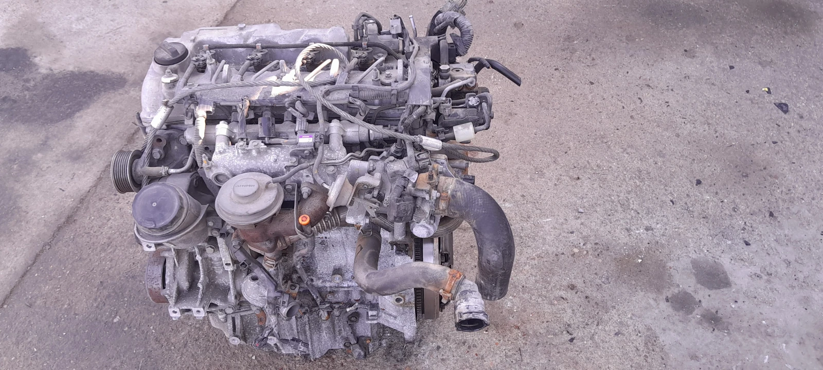      2008.2.2 D     . | Mobile.bg   4