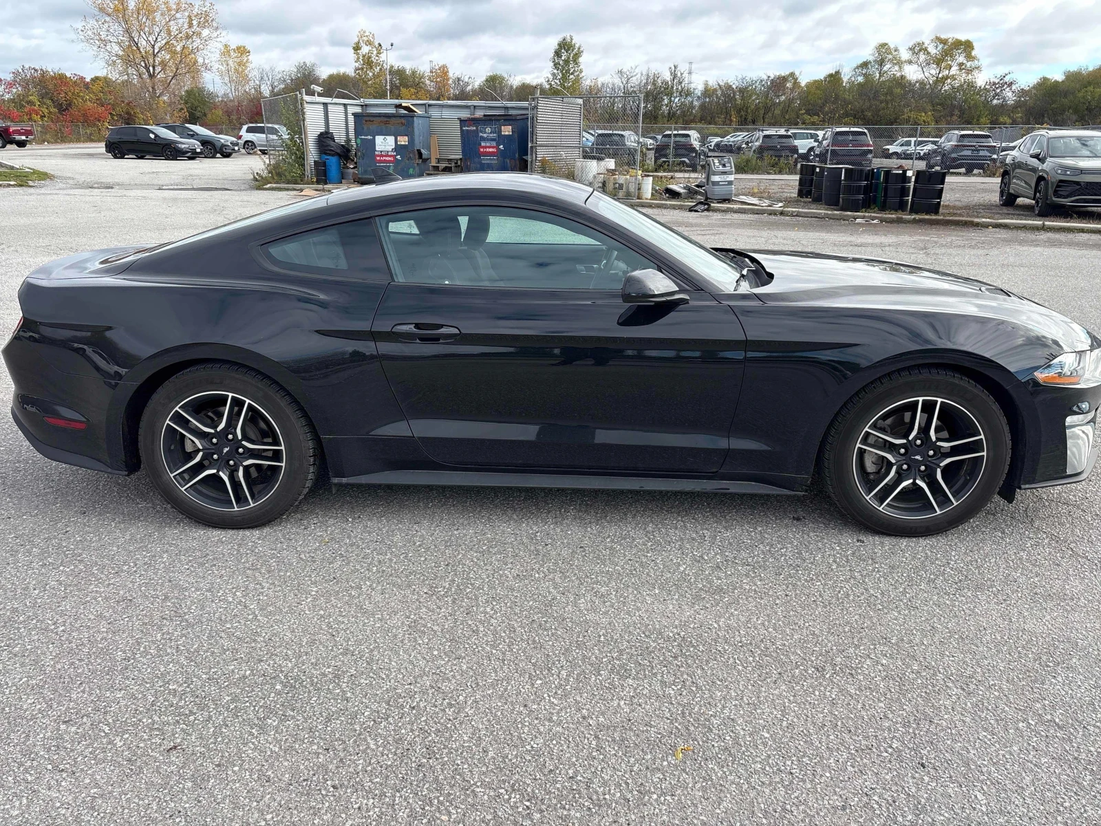 Ford Mustang ECOBOOST * CARFAX * БЕЗ ПЪРВОНАЧАЛНА ВНОСКА - изображение 4