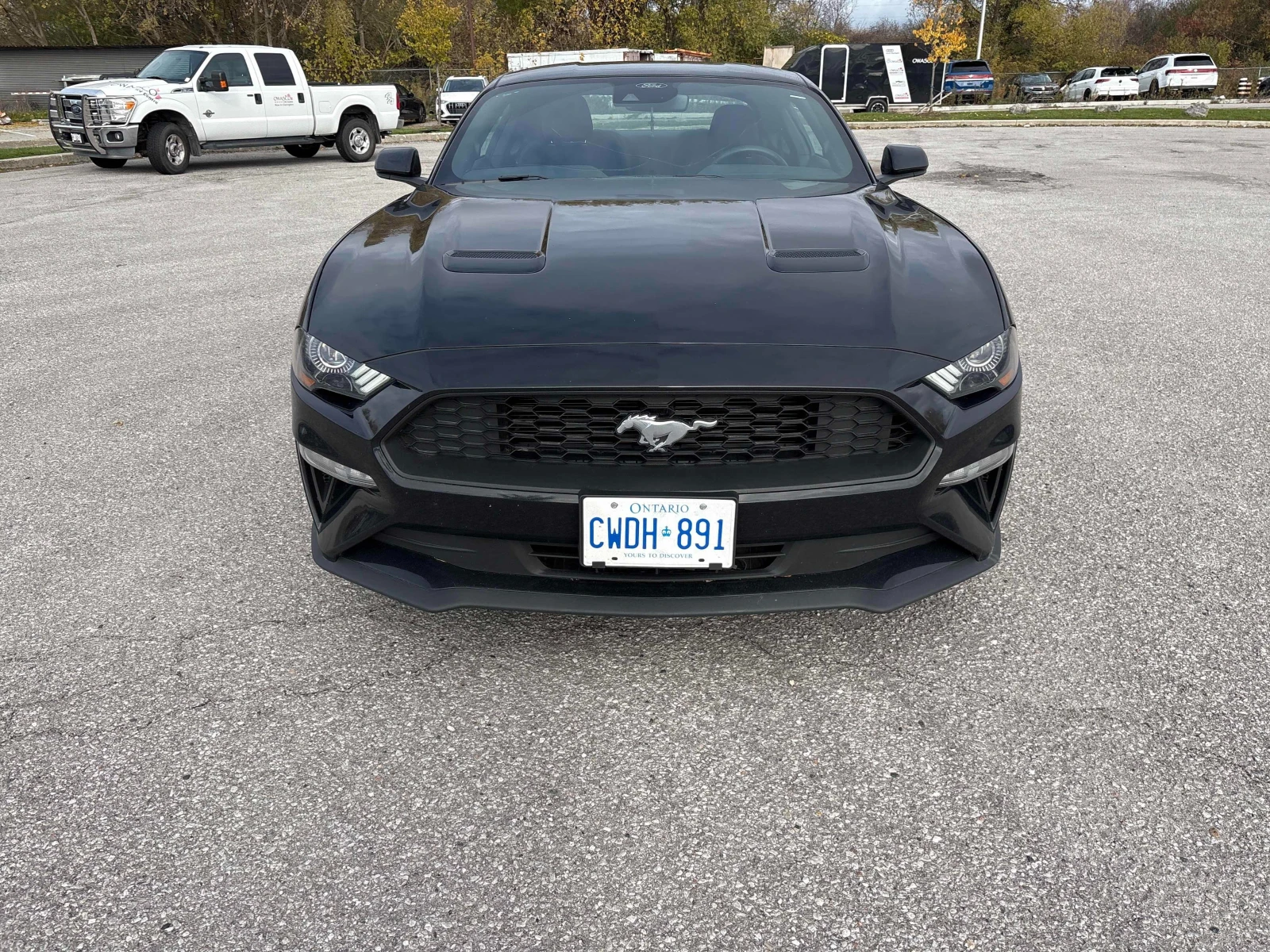 Ford Mustang ECOBOOST * CARFAX * БЕЗ ПЪРВОНАЧАЛНА ВНОСКА - изображение 3