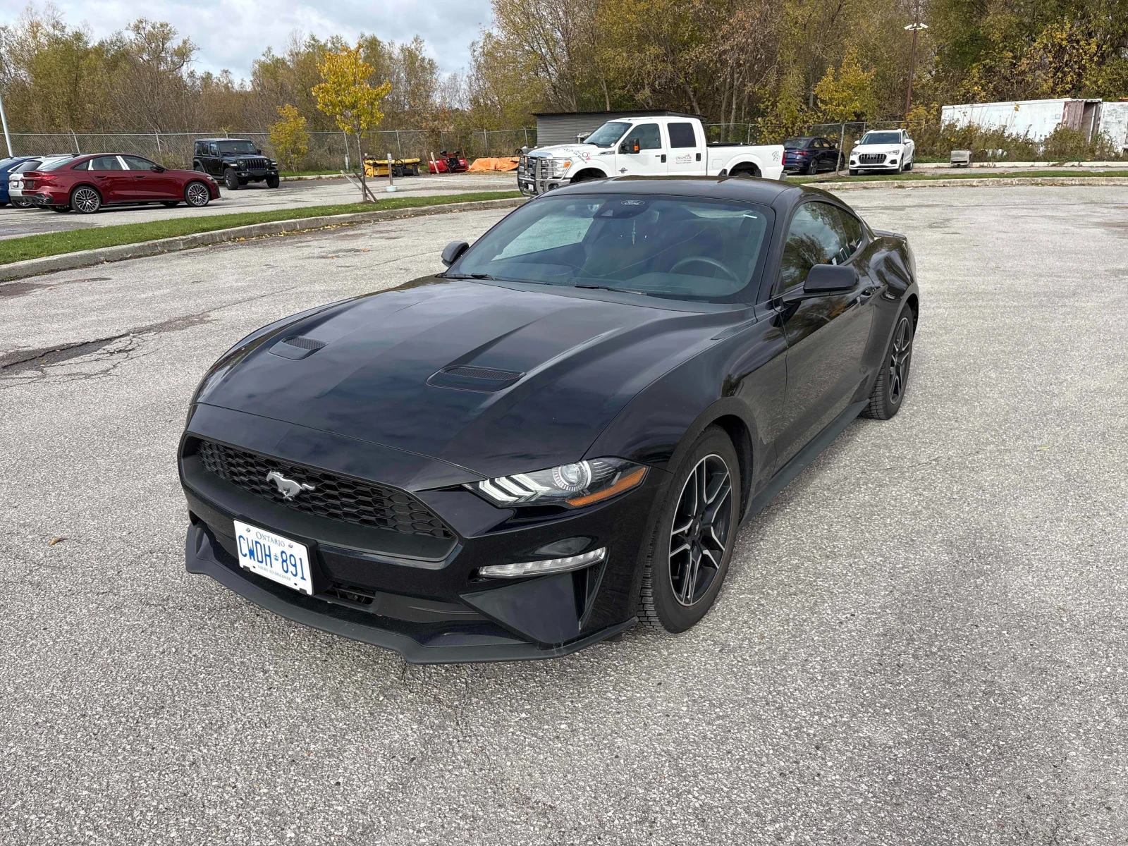 Ford Mustang ECOBOOST * CARFAX *    | Mobile.bg   1