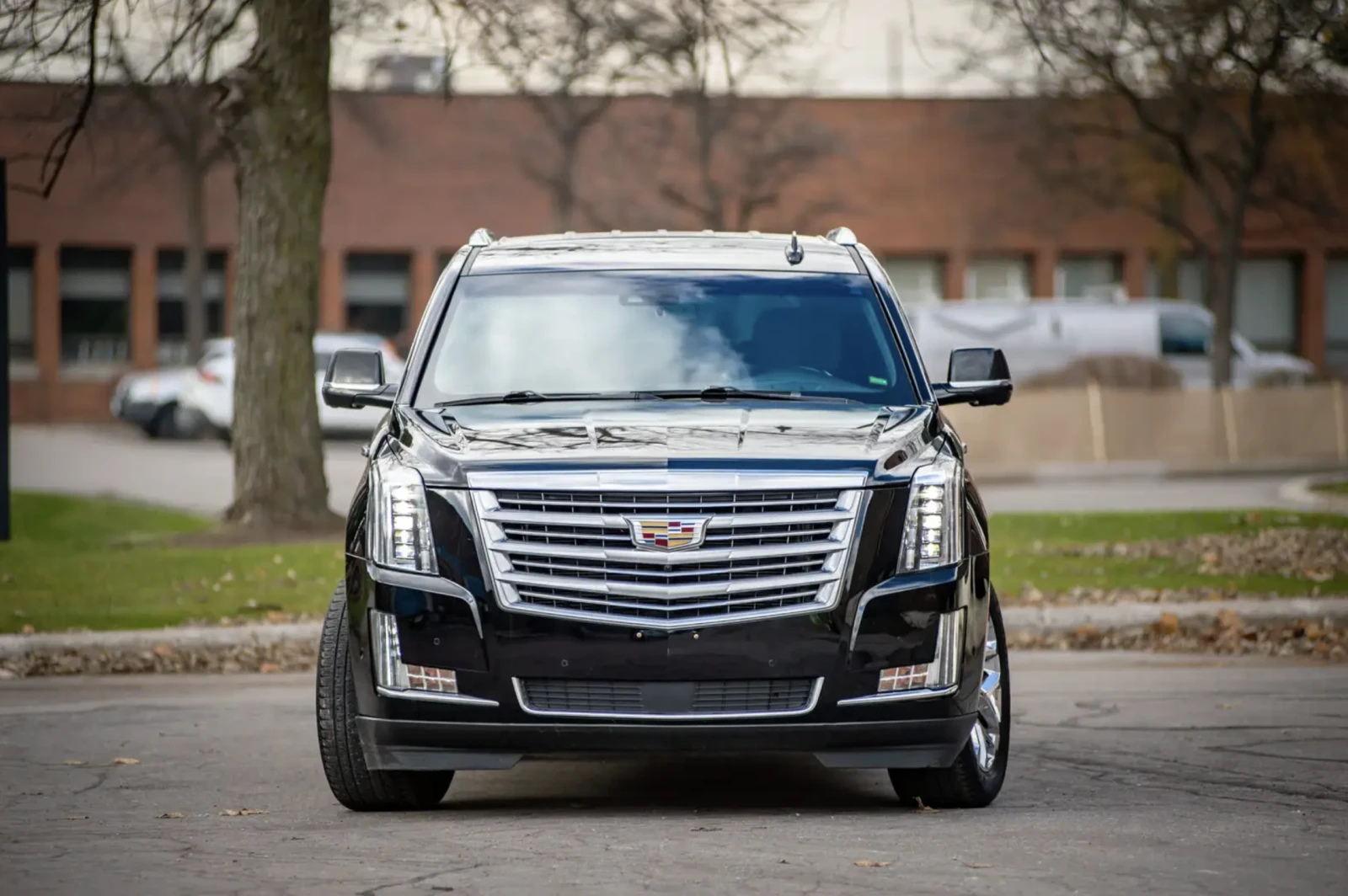 Cadillac Escalade 2018 Cadillac Escalade Platinum - изображение 2