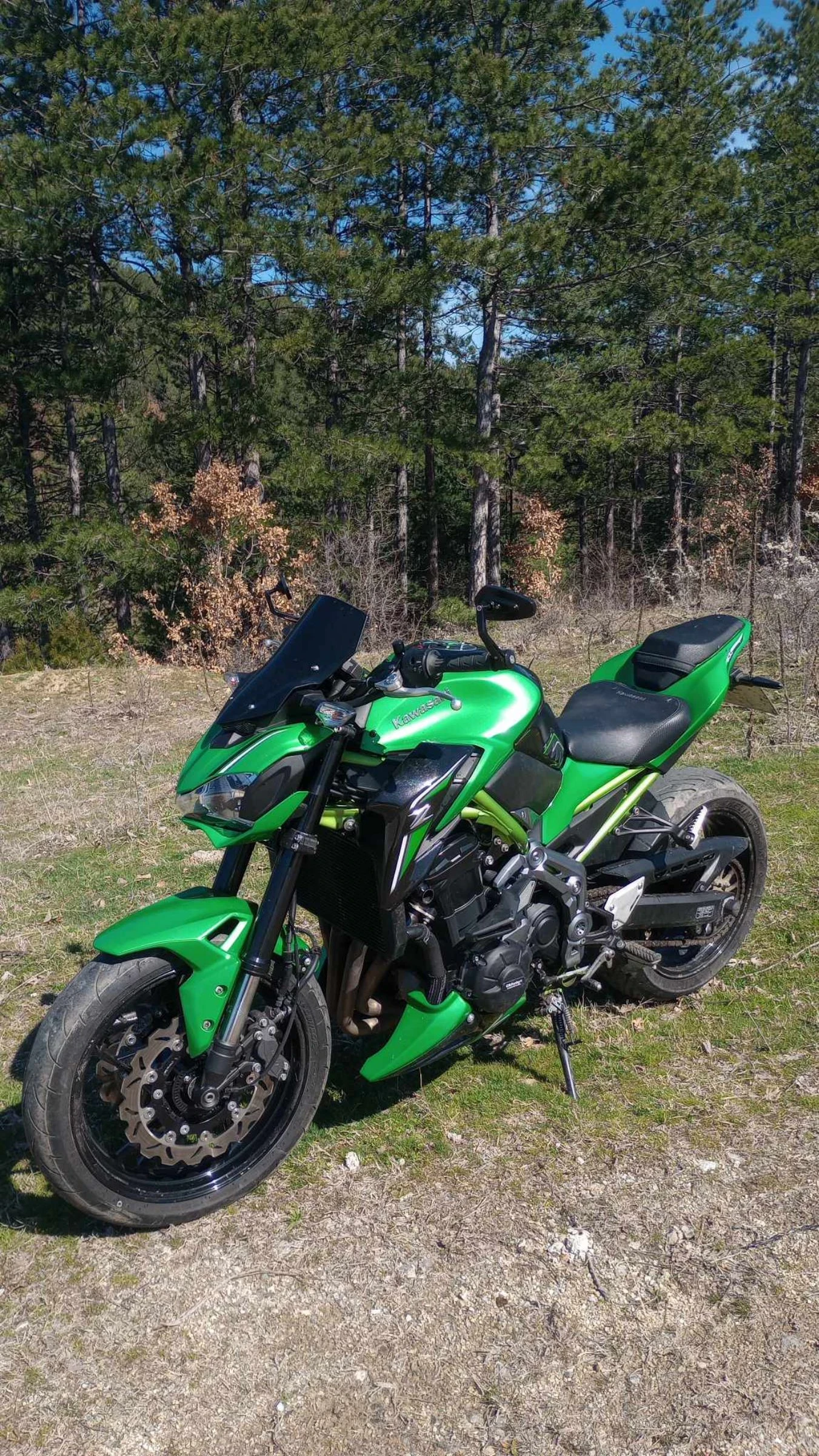 Kawasaki Z Z900 - изображение 7