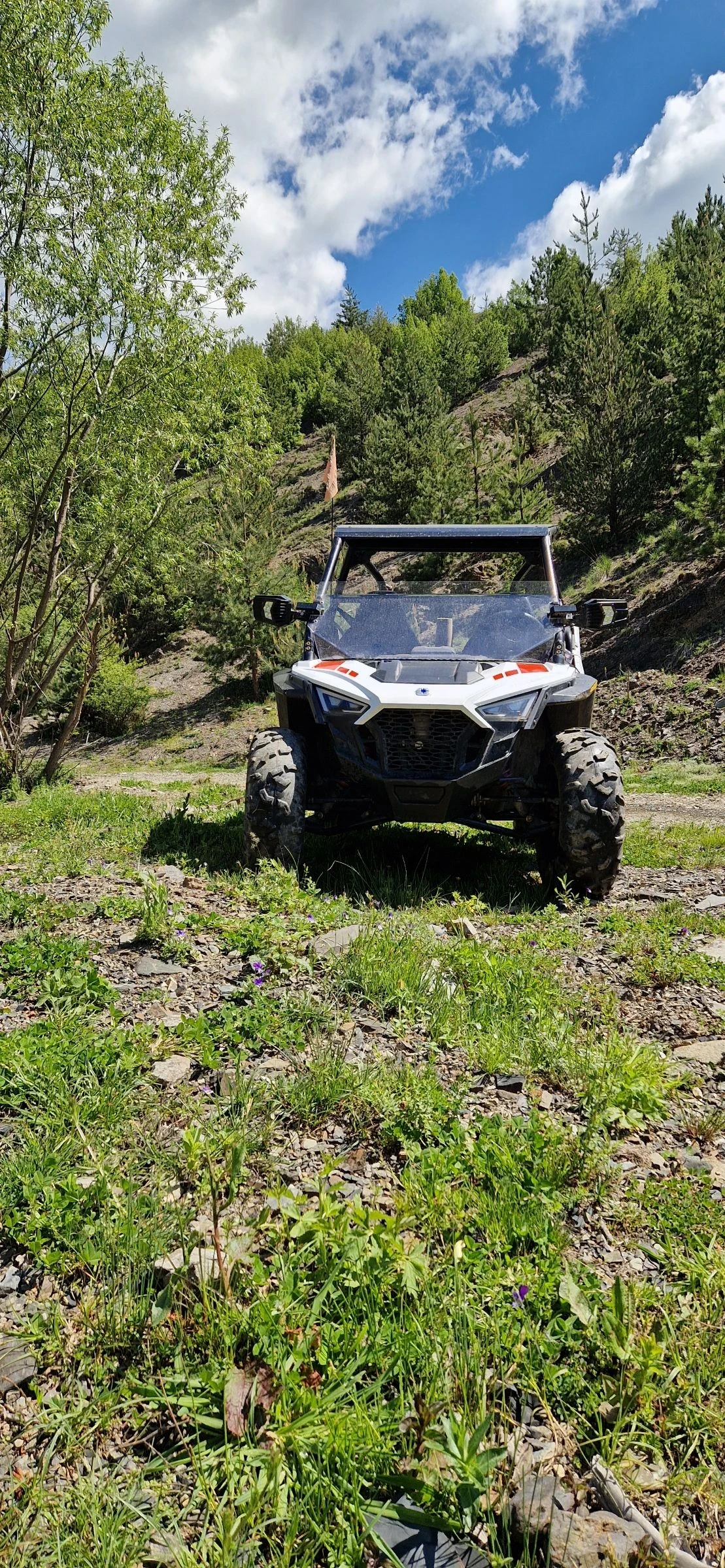 Polaris RZR 200 - изображение 6