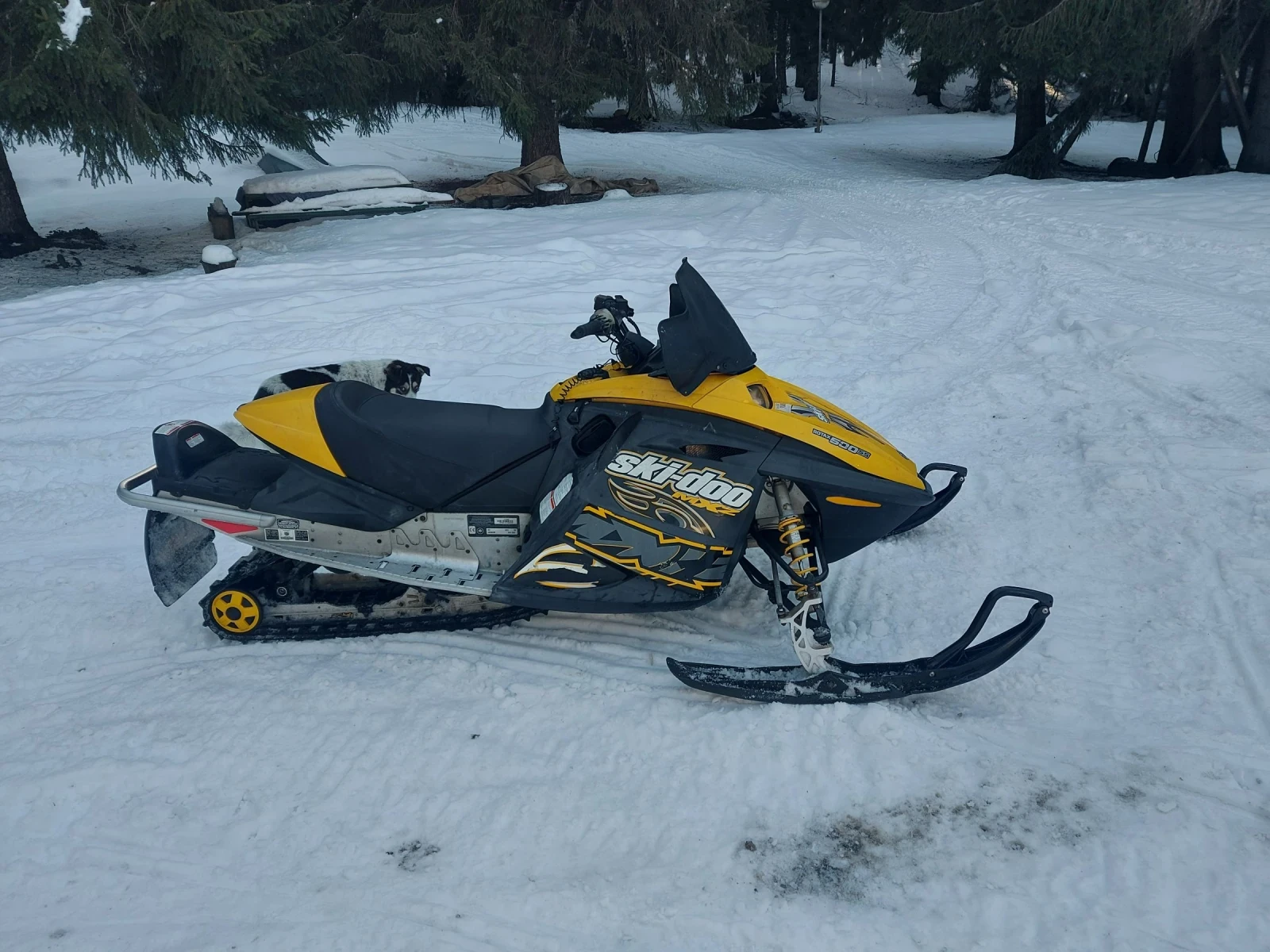 Ski-Doo Freeride  - изображение 2