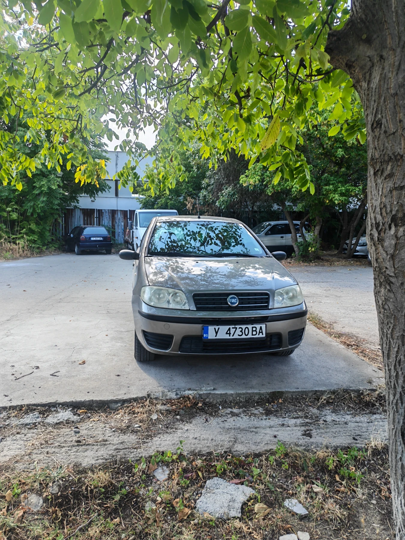 Fiat Punto