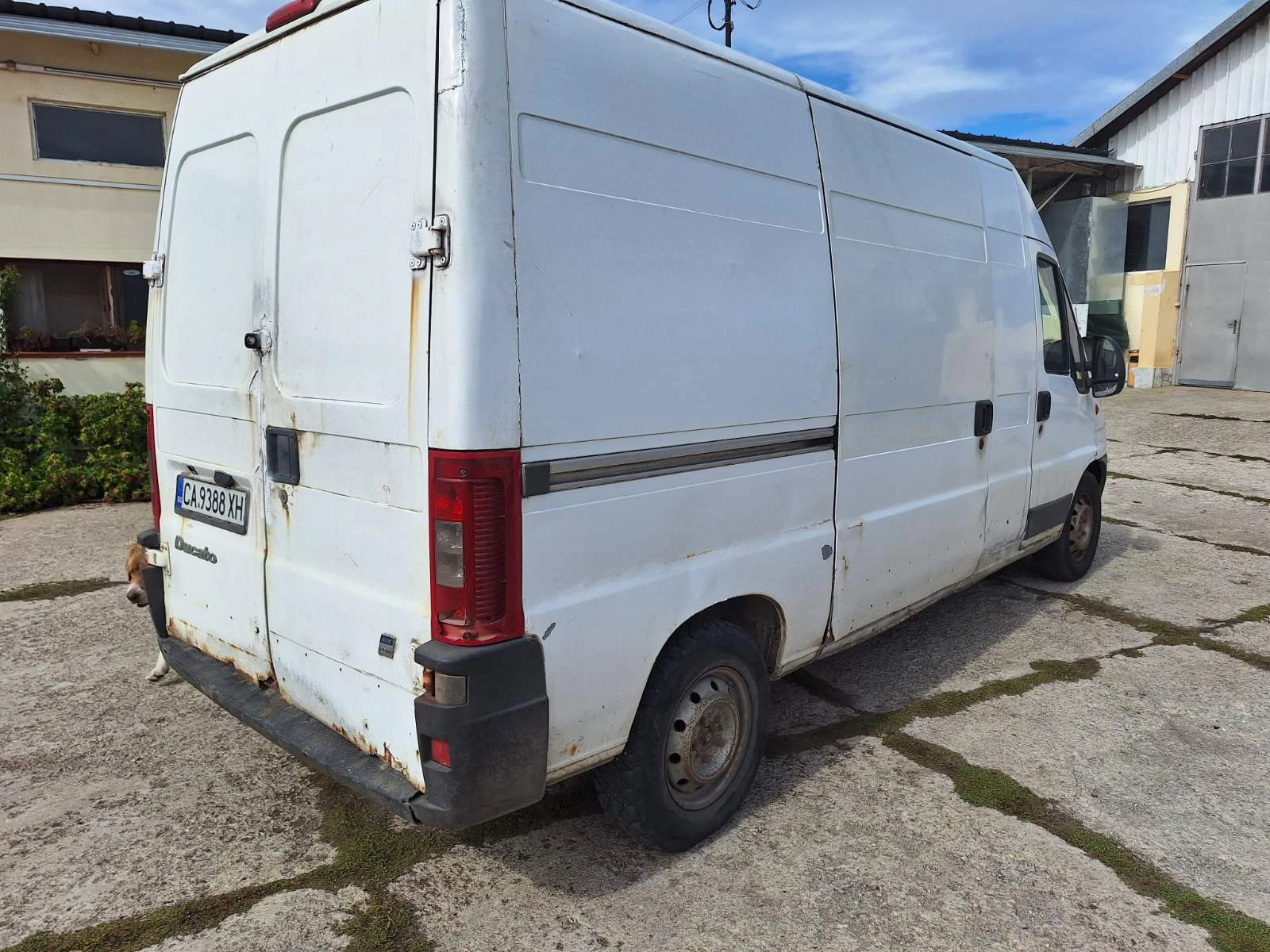 Fiat Ducato 244 | Mobile.bg   5