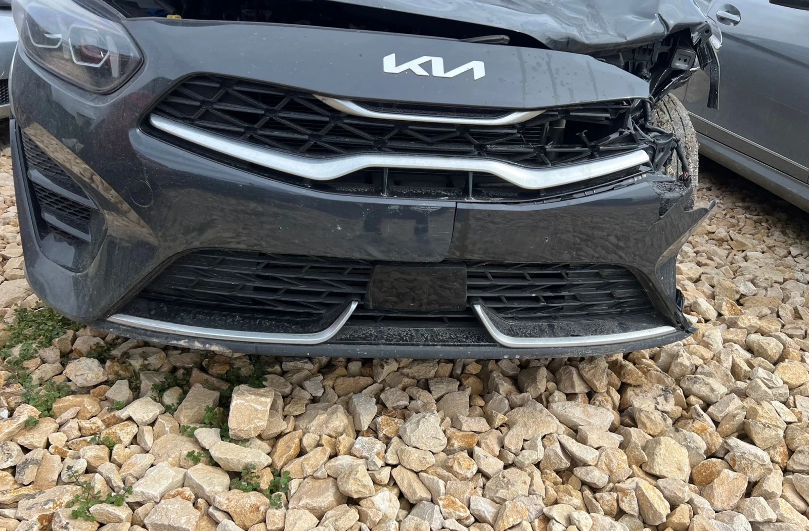 Kia Pro ceed gt-line, снимка 3 - Автомобили и джипове - 54045968