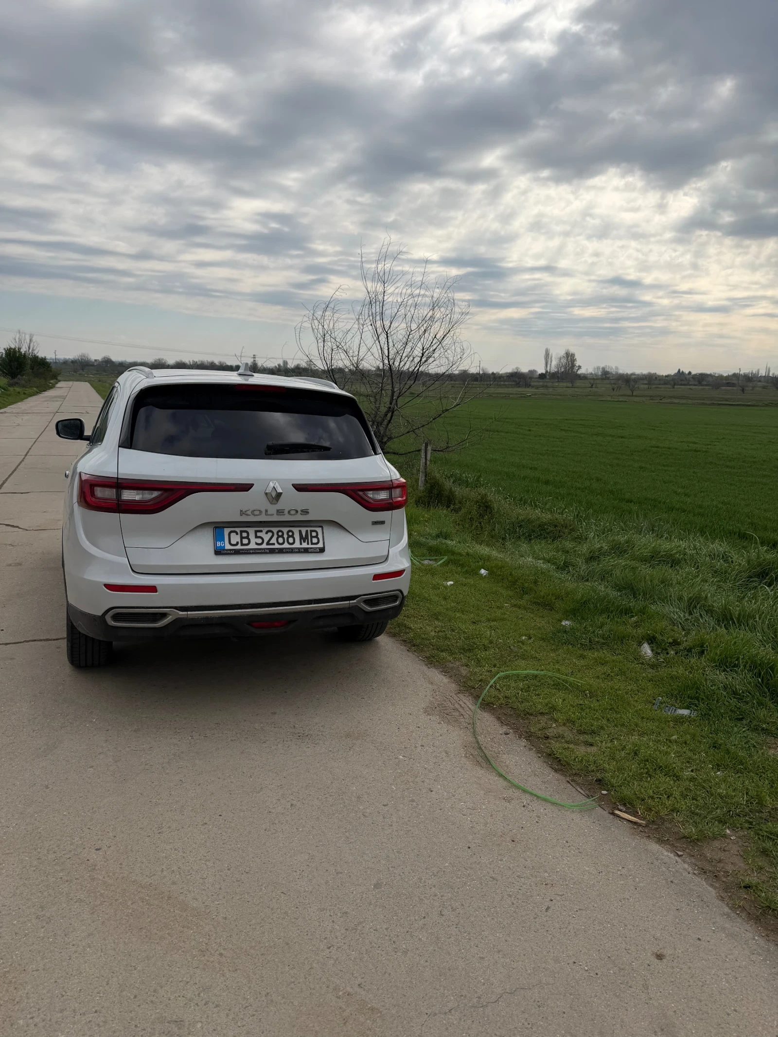 Renault Koleos, снимка 6 - Автомобили и джипове - 54260490