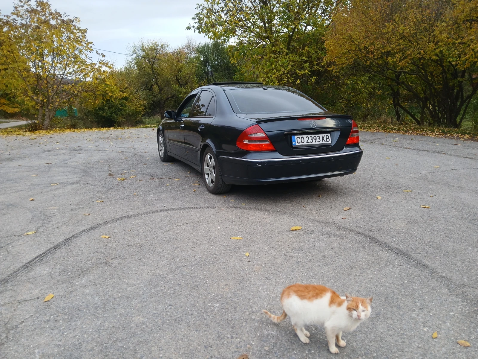 Mercedes-Benz E 320 | Mobile.bg — изображение 6