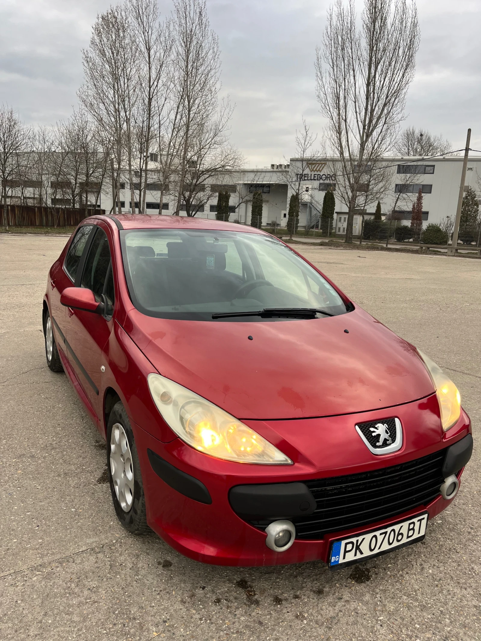 Peugeot 307, снимка 2 - Автомобили и джипове - 53890546