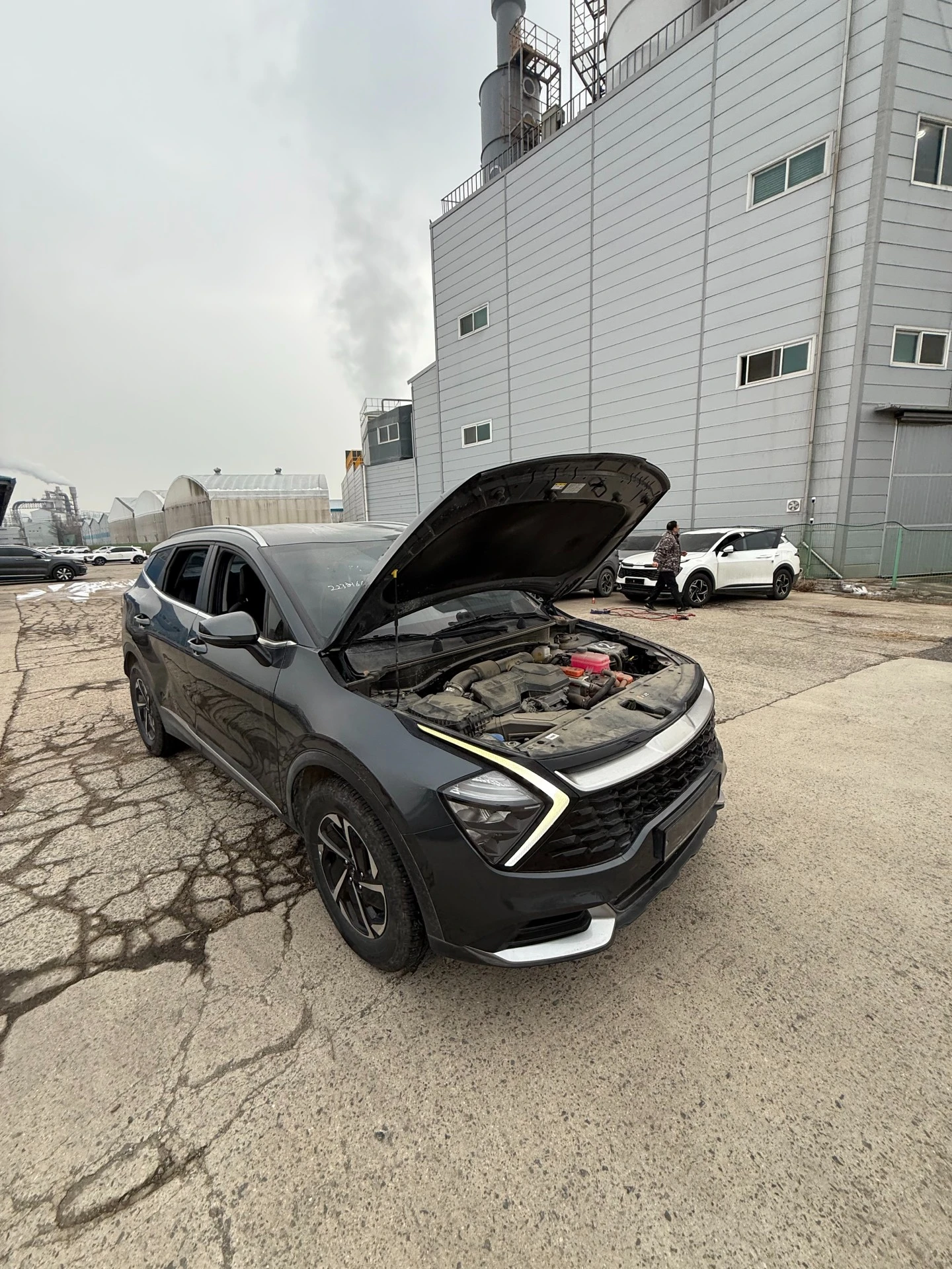 Kia Sportage 1.6 HEV - ОЧАКВАН ВНОС