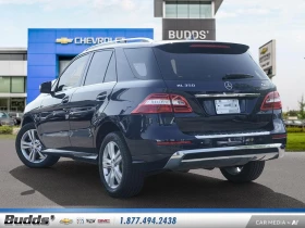 Mercedes-Benz ML 350 * АВТО КРЕДИТ* ЦЕНА ДО БГ * СЕРВИЗНА ИСТОРИЯ *  - 33999 лв. / 17383.41 € - 95485762 7