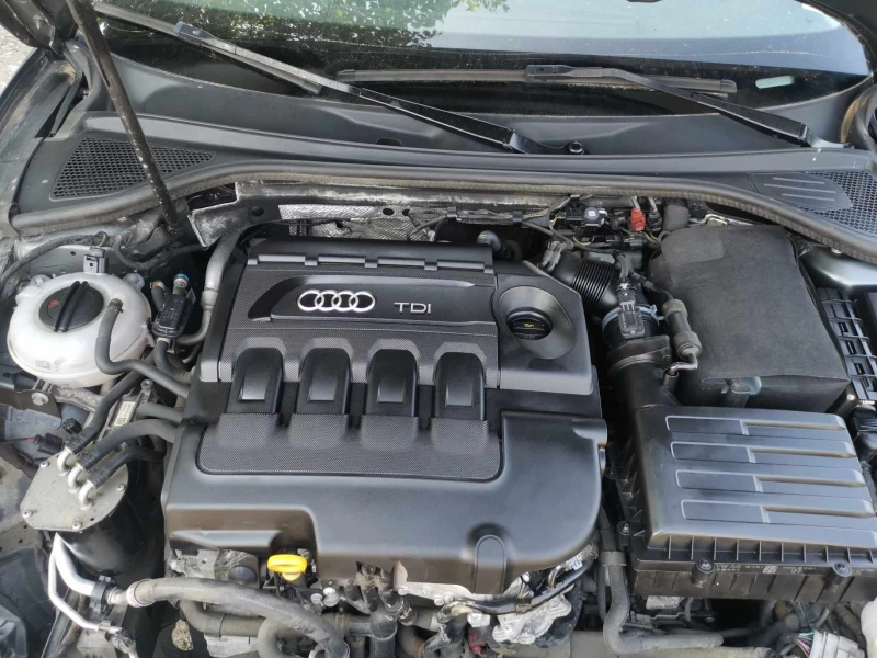 Audi A3 1.6 tdi, снимка 8 - Автомобили и джипове - 46917486