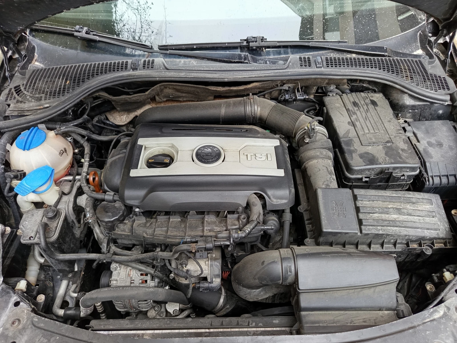 Skoda Octavia VRS , снимка 14 - Автомобили и джипове - 54574493