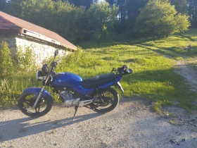 Yamaha YBR 125, снимка 3