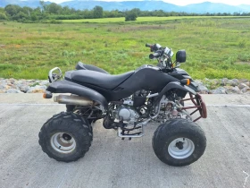 Bashan BS 250, снимка 6